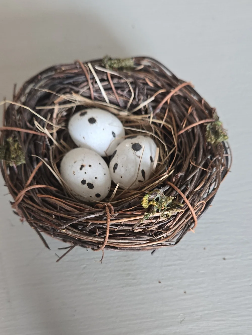 Decorative Bird Nest with Speckled Eggs - Brown and White Home Accent